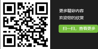 風力發電機軸承